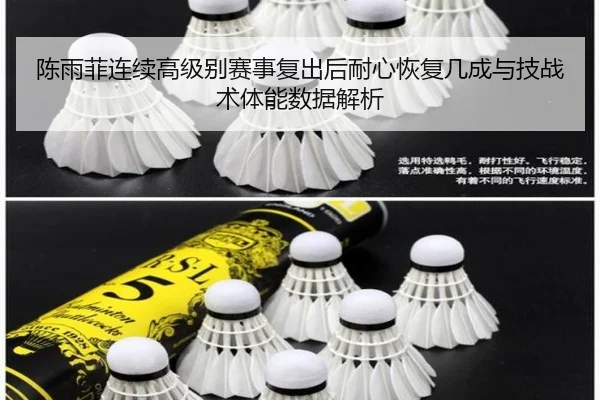 陈雨菲连续高级别赛事复出后耐心恢复几成与技战术体能数据解析